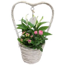 Arrangement hengsel mand